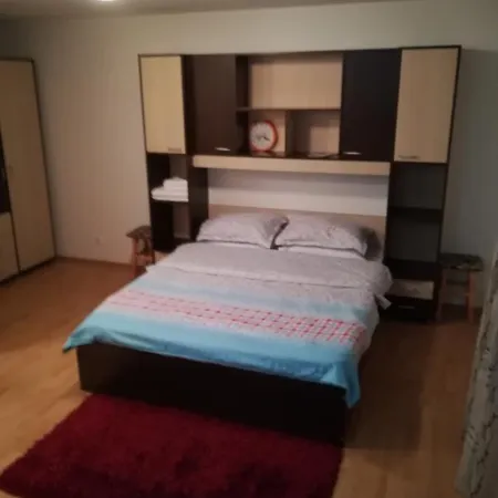 Garsoniera Alina Апартаменти *