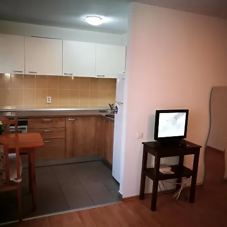 Апартаменти Garsoniera Alina *