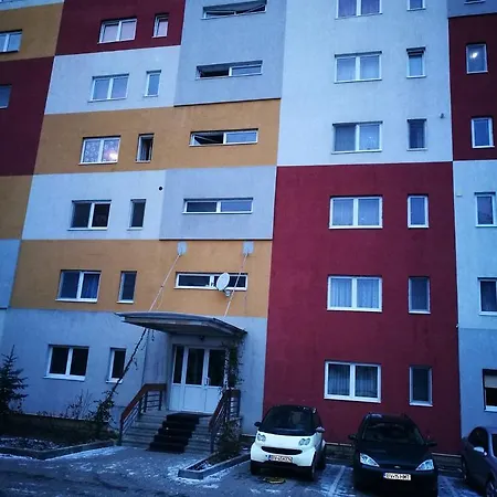 Garsoniera Alina Апартаменти *