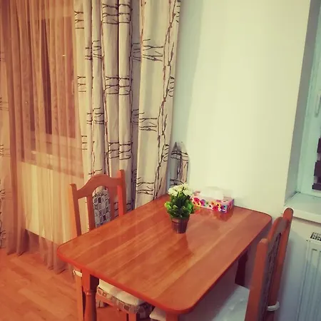 Garsoniera Alina * Брашов