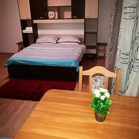 Апартаменти Garsoniera Alina